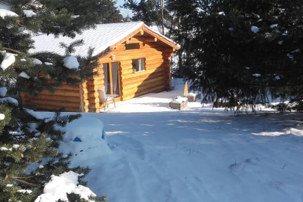 Pialous:Chalet En Rondins Avec Espace Detente La Chapelle-d'Aurec Kültér fotó
