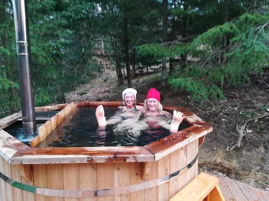 Pialous:Chalet En Rondins Avec Espace Detente La Chapelle-d'Aurec Kültér fotó